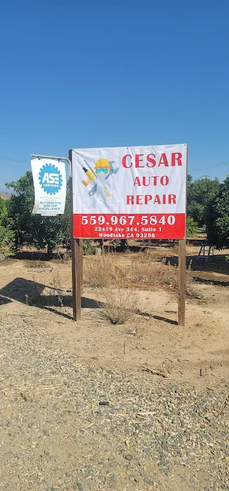 Cesar Auto Repair 0