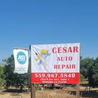 Cesar Auto Repair