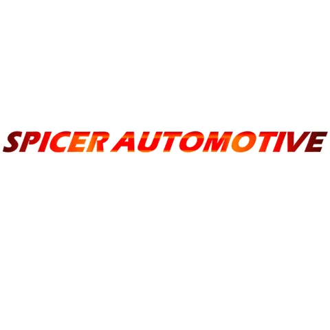 Spicer Automotive 7