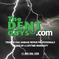 The Dent Guys ico