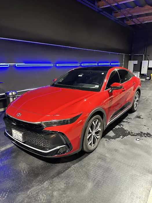 Elite Wrap And Tint 7