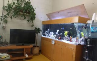 city smog check center