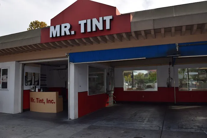 Mr. Tint, Inc. 4