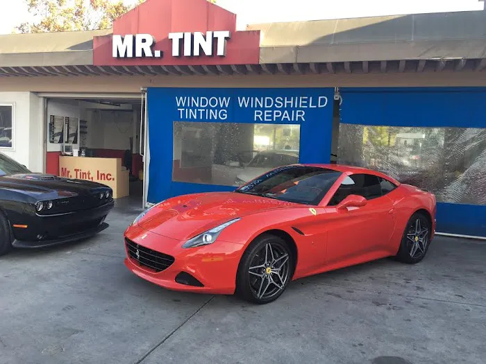 Mr. Tint, Inc. 9