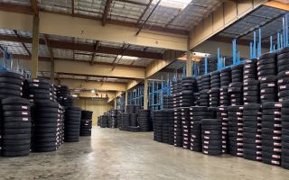 dado collision and auto repair