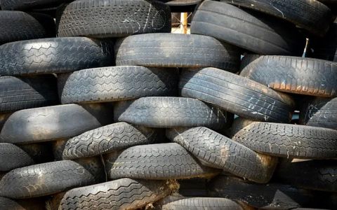 tire stores fremont ca