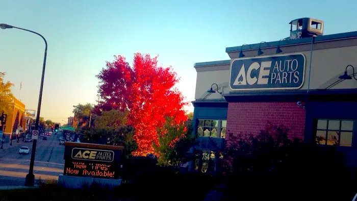 Ace Auto Parts 6