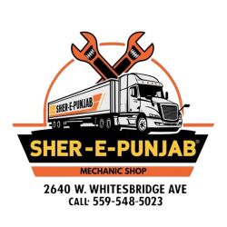 Sher-E-Punjab ico