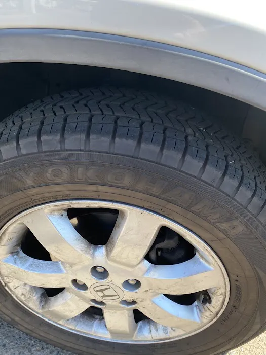 Proline Tire 3