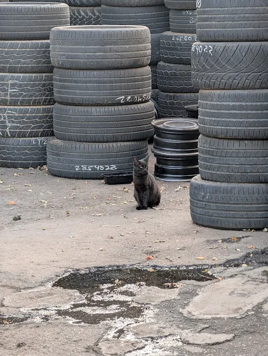 El Centro Tires 0