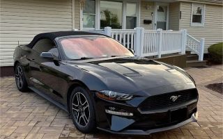 tinting motors farmingdale