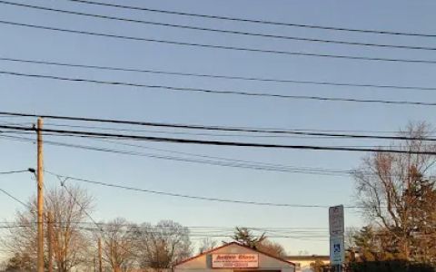 active auto body inc