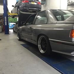 NYBIMMERS ico