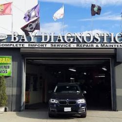 Bay Diagnostic ico