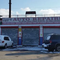 Ted's Auto Repair ico