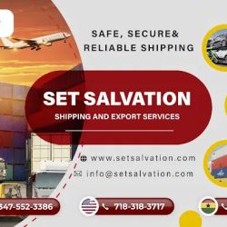 Set Salvation Auto & Parts ico