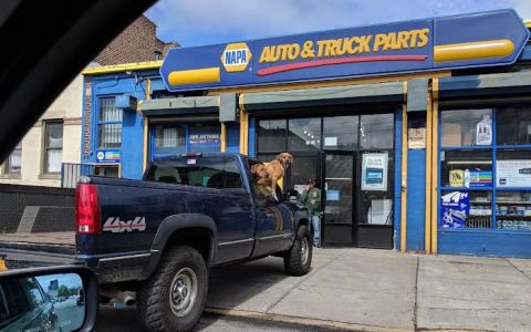 genuine auto parts napa