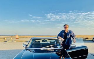 gullwing motors mineola ny