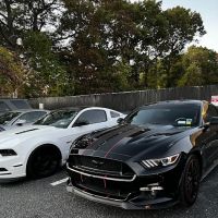 Mustang Magic & American Muscle