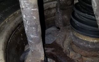 parts plus store locator