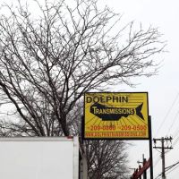 Dolphin Transmissions