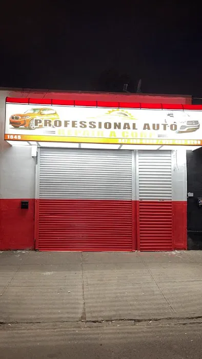 Professional Auto Repair A Corp 0