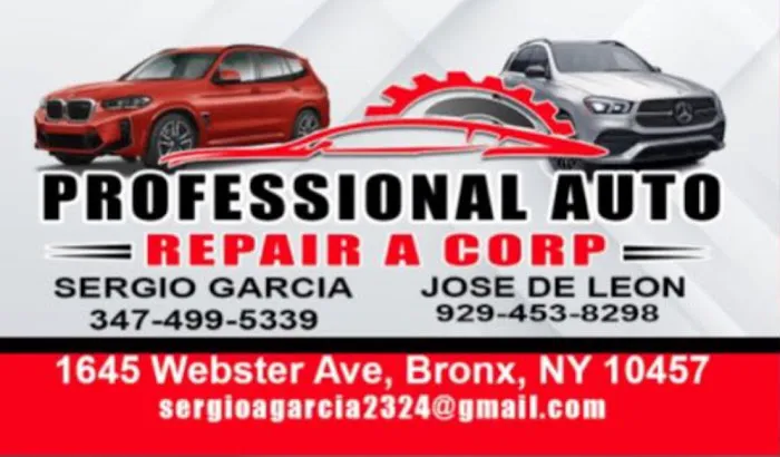 Professional Auto Repair A Corp 2