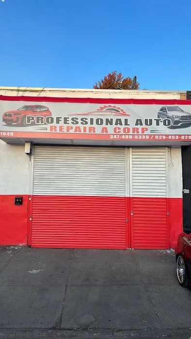 Professional Auto Repair A Corp 3