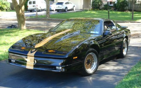 excellence auto body shop