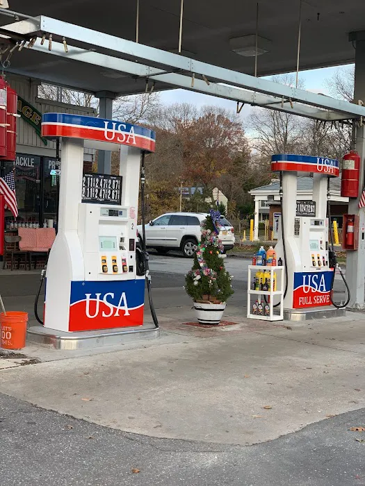 Citgo Gas Station 3