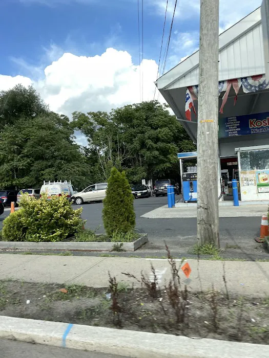 Delta Gas 6