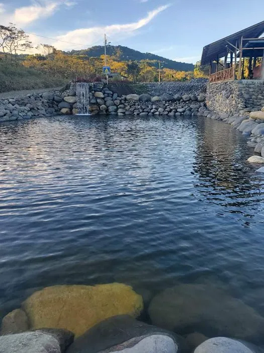 Shell 1