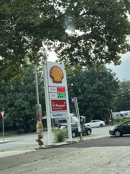 Shell 8
