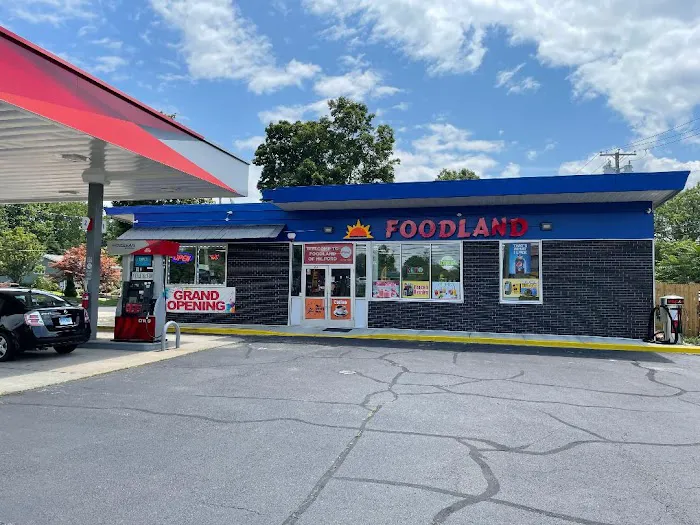MILFORD FOOD LAND 4