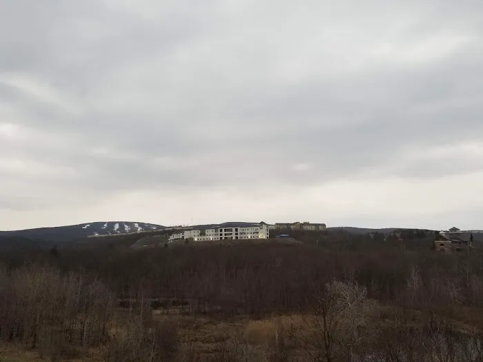 Exxon 7