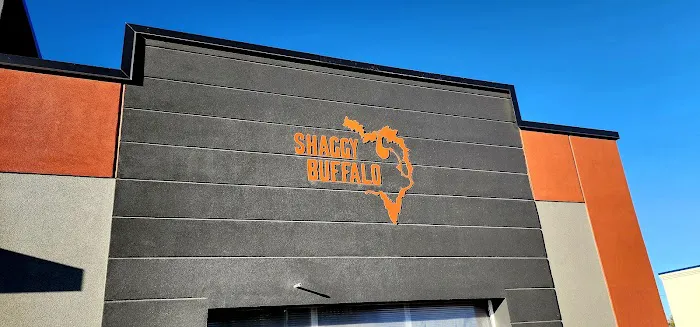 Shaggy Buffalo Car Wash 2