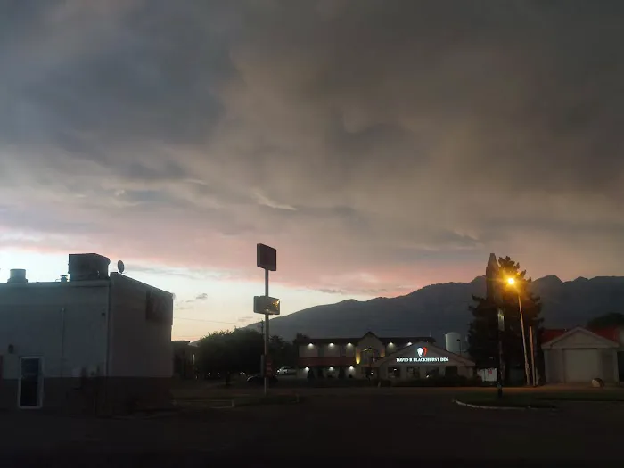 Timp Express Wash 0