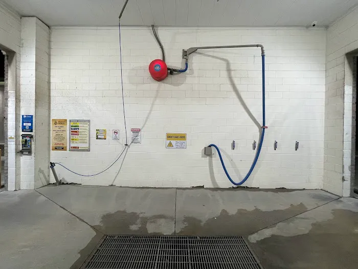 The Salty Dog Car and Pet Wash 1