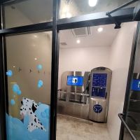 Classic Car Wash and Dog Wash Santaquin
