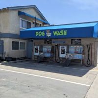 Stop N Wash