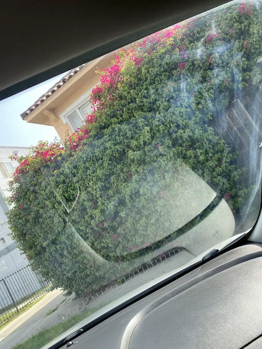Coast Hand Car Wash & Detail Center 6