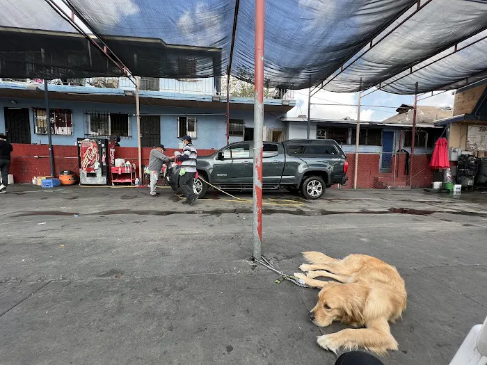 Fred’s Car Wash 6