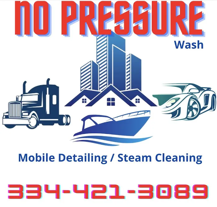 NO PRESSURE WASH | Mobile Detailing & Steam Cleaning 1
