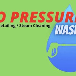 NO PRESSURE WASH | Mobile Detailing & Steam Cleaning ico