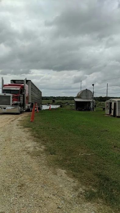 Trailer washout 2