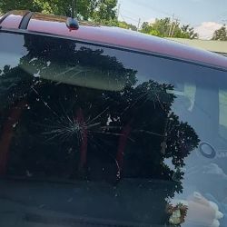 MR WINDSHIELD AUTO GLASS ico