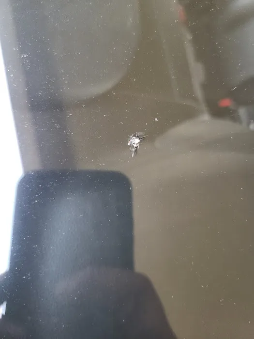 Riggs auto glass 6
