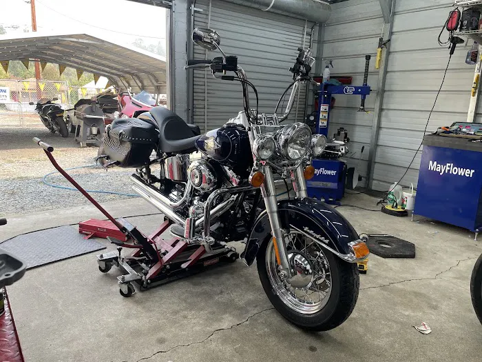 Fastlane Cycles 8