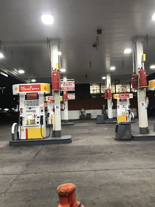 Shell 6