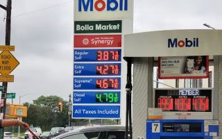 bolla market brooklyn ny